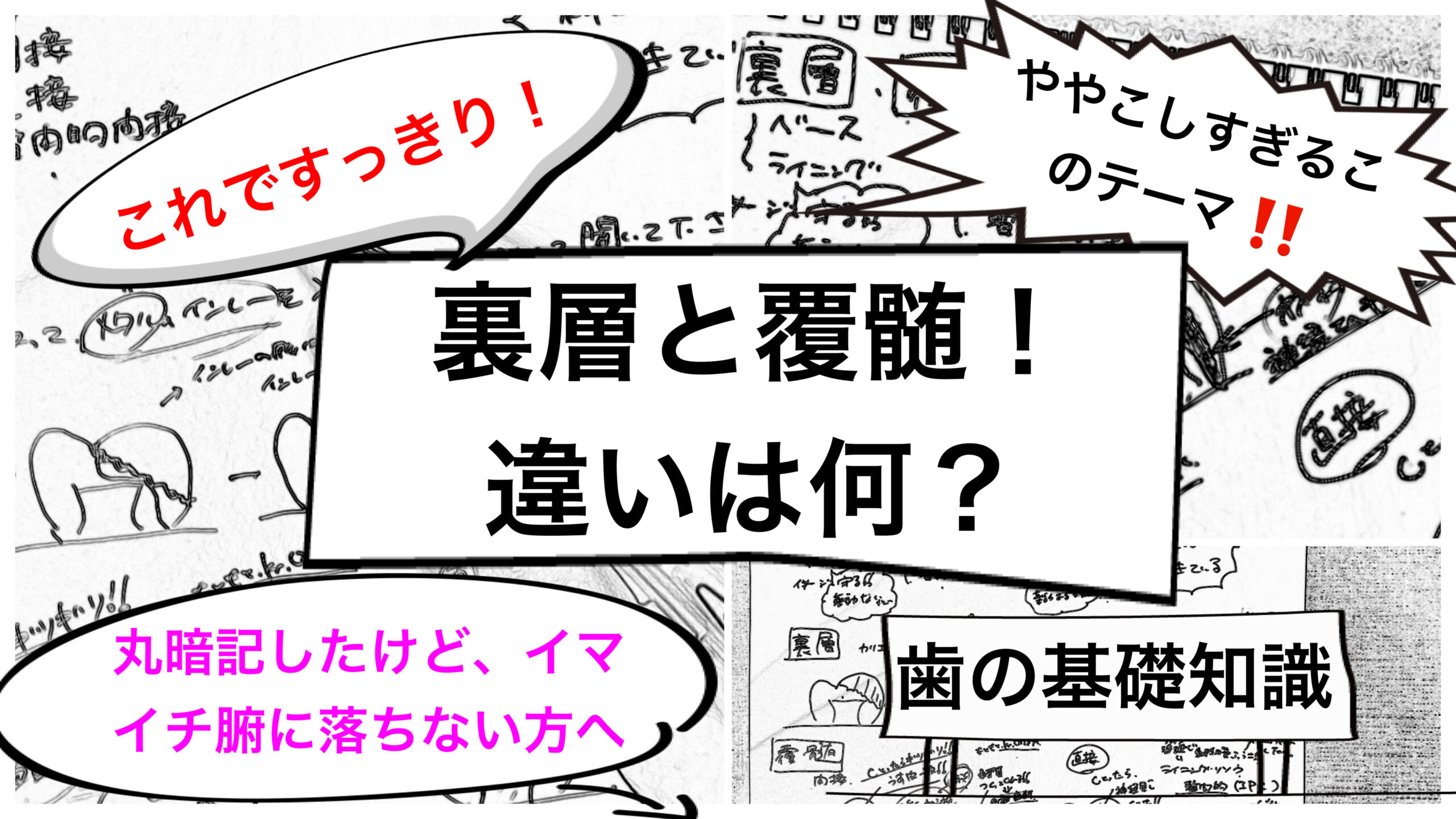 裏層と覆髄の違いは？～歯科用語を腑に落とそう！歯科医師国家試験、歯科衛生士国家試験、歯学部試験対策に～ | サクラヒカル