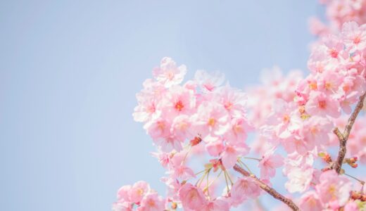 岡山大学歯学部編入試験、新潟大学歯学部編入試験、個別指導についてと合格者の方の声。